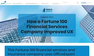 Preview of the Fortune 100 Financial Services and Insurance Company Case Study