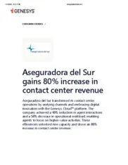 Preview of the Aseguradora Del Sur Case Study