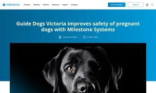 Preview of the Guide Dogs Victoria Case Study