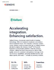 Preview of the Vaillant Case Study