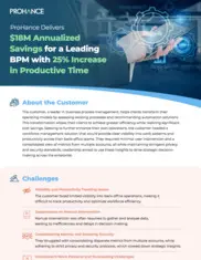 Preview of the Leading BPM Company Case Study