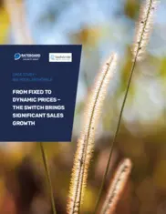 Preview of the Hotel Seehörnle Case Study