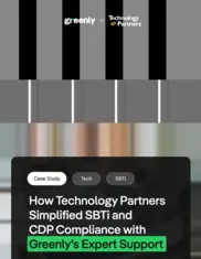 Preview of the Technology Partners Case Study