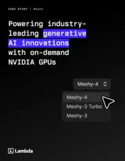 Preview of the Meshy Case Study