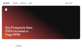 Preview of the Sox Prospects Case Study