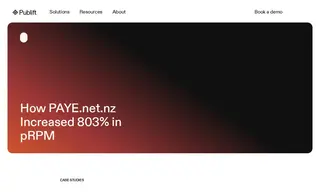 Preview of the PAYE.net.nz Case Study