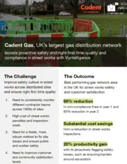 Preview of the Cadent Gas Case Study