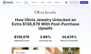Preview of the Olivia Jewelry Case Study