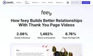 Preview of the Feey Case Study