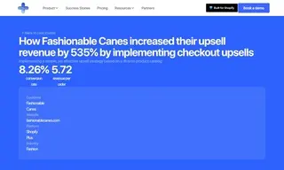 Preview of the Fashionable Canes Case Study