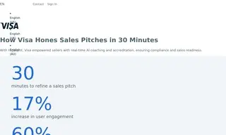 Preview of the Visa Case Study