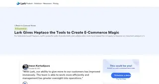 Preview of the HEPTACO Case Study