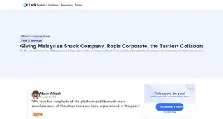 Preview of the Ropis Corporate Case Study