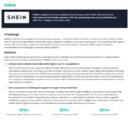 Preview of the SHEIN Case Study