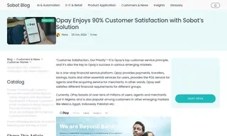 Preview of the OPay Case Study