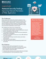 Preview of the Large-Sized Company Case Study