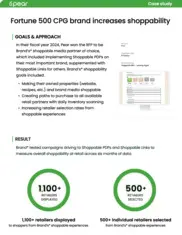 Preview of the Fortune 500 CPG Brand Case Study