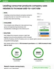 Preview of the Leading Consumer Products Company Case Study