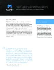 Preview of the Mine Safety Appliances Company Case Study