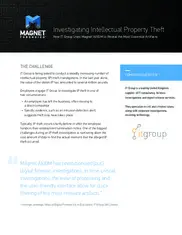 Preview of the IT Group Case Study