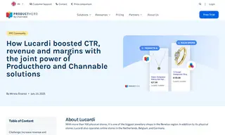 Preview of the Lucardi Case Study