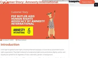 Preview of the Amnesty International Case Study