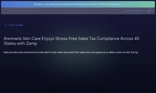 Preview of the Annmarie Skin Care Case Study