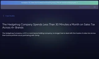 Preview of the The Hedgehog Company Case Study