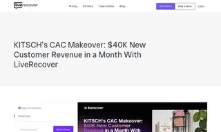 Preview of the Kitsch Case Study