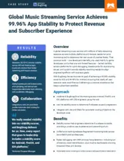 Preview of the Global Music Streaming Service Provider Case Study