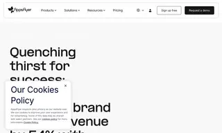 Preview of the Wolt Case Study