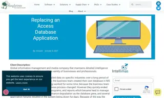 Preview of the Global Information Management and Media Company Case Study