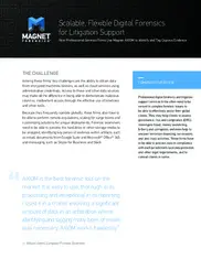 Preview of the Professional Digital Forensics and Litigation Support Services Firm Case Study