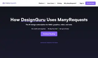 Preview of the DesignGuru Case Study
