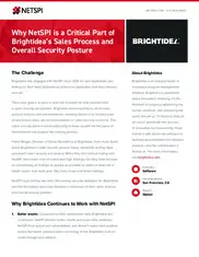Preview of the Brightidea Case Study