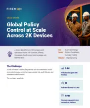 Preview of the Swiss Global Fortune 100 Company Case Study