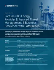 Preview of the Fortune 500 Energy Provider Case Study