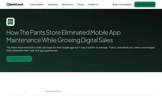 Preview of the Pants Store Case Study