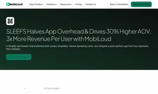 Preview of the Sleefs Case Study