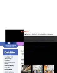 Preview of the Deloitte Case Study