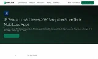 Preview of the JF Petroleum Group Case Study