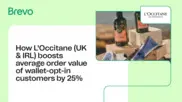 Preview of the L'Occitane Case Study