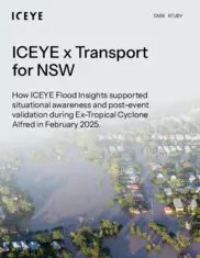 Preview of the Transport for NSW Case Study