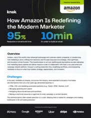 Preview of the Amazon Case Study