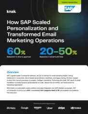 Preview of the SAP Case Study