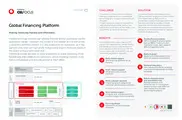 Preview of the Vodafone Case Study