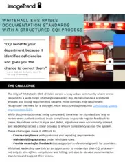 Preview of the City of Whitehall Case Study