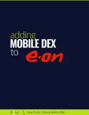 Preview of the E.ON Case Study