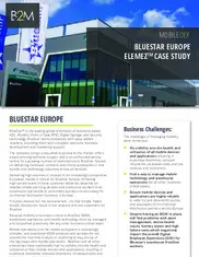 Preview of the BlueStar Inc. Case Study