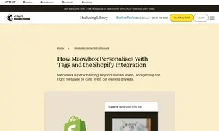 Preview of the Meowbox Case Study